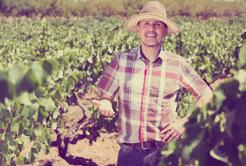 Positive man gardener standing in grapes tree