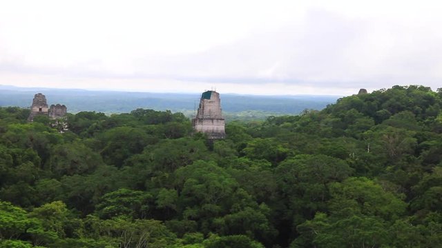 Panoramic view of rainforest and top of mayan temples at Tikal National Park - Guatemala
