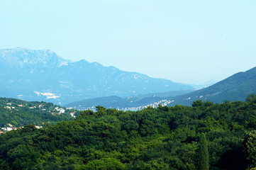 Obraz premium Green forest and blue mountains in the summer of Montenegro