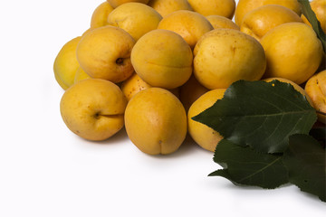 Apricots