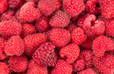 Background of raspberries