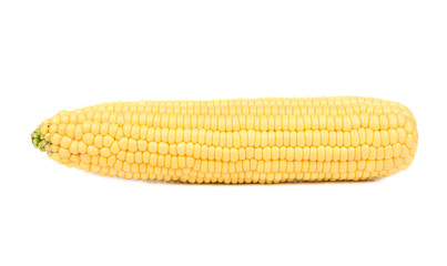 Raw corn cob