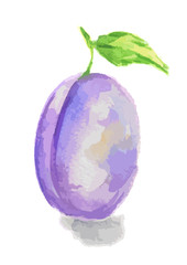 Isolated watercolor purple plum on white background. Healthy and sweet fruit. Organic and vegetarian nutrition.