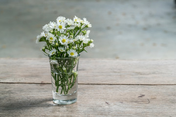 Small white flowers