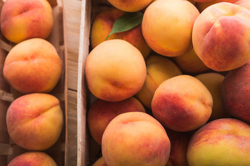 fresh peaches