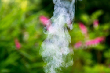 Smoke in the Garden