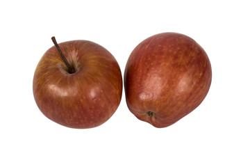 Apples on white background