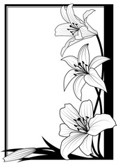 lily frame in black