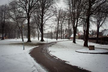 Winter road, Denmark