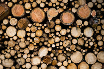 Detail view of chopped wood. Texture of wooden logs.