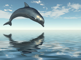 Fototapeta premium Dolpin
