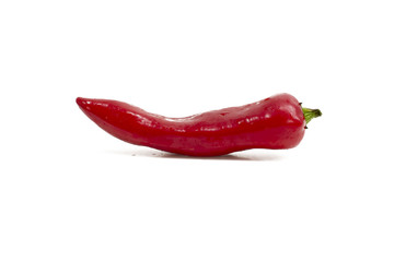 chile / red pepper on white background