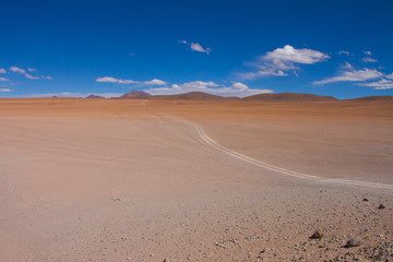 Fototapeta na wymiar Bolivia landscape