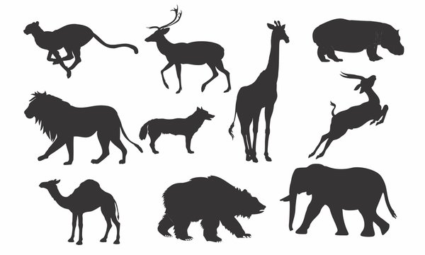 The Animals Silhouette