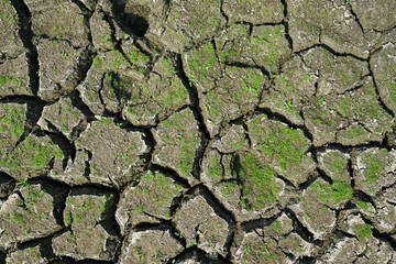 Cracks in the dried soil in arid season