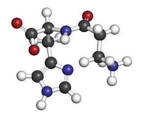 Carnosine (L-carnosine) food supplement molecule. 3D rendering.