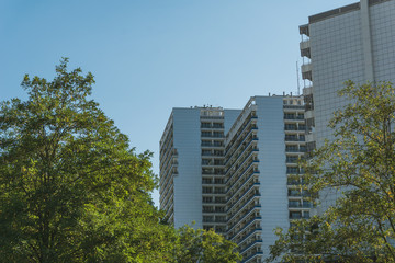 Fototapeta premium typical plattenbau skyscrapers in berlin framed with a treetop