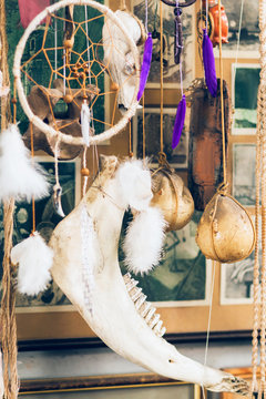 Art installation of decoration elements and animal bones. New beautiful dream catcher hang with skull of beast. Mix of modern craft products and ancient relics.
