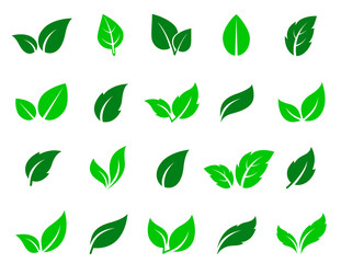 green leaf icons set