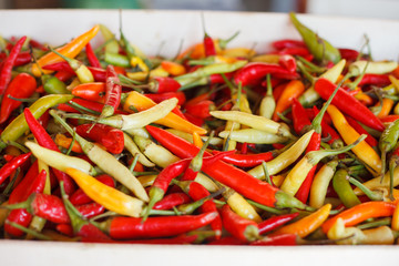 Red and yellow hot chilli peppers on the market. A lot of colorful chillies.