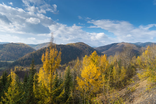 Fototapeta Autumn in the mountains Miao Chan. Golden September in the mountains.
