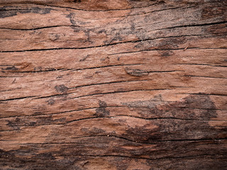 Wooden texture background