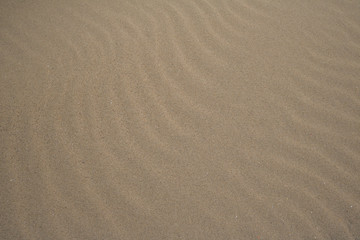 Fototapeta na wymiar Sand-Verwehung