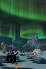 Penguins watching the northern lights at Christmas time