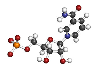 Nicotinamide mononucleotide molecule. Precursor of NAD+. 