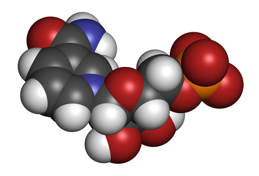 Nicotinamide mononucleotide molecule. Precursor of NAD+. 