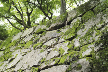 石垣　Japanese stone wall