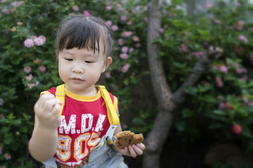 Close up asian little girl eating a cookie