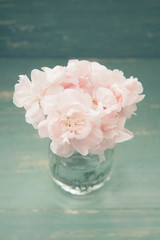 ピンクのスプレーカーネション