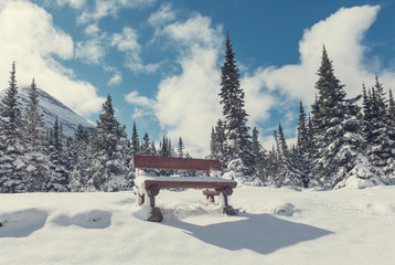 Fototapeta na wymiar Winter in Glacier Park
