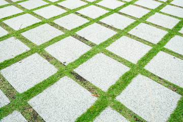 square concrete pavement in the garden