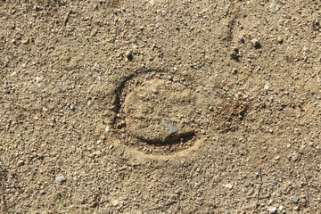 Fototapeta na wymiar Background with horseshoe mark on the floor