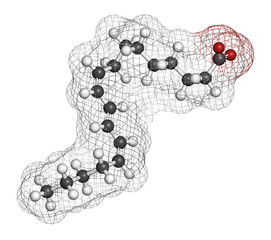 Punicic acid (trichosanic acid) molecule. 
