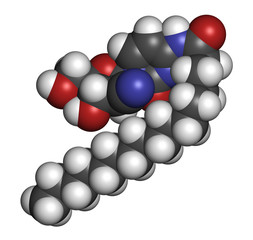 Sapacitabine cancer drug molecule (nucleoside analog). 
