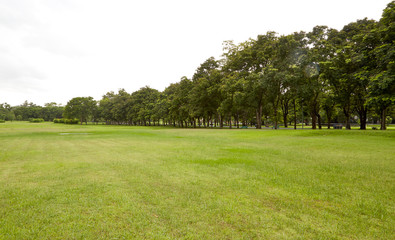 Fototapeta premium backyard