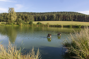 pond in bavaria