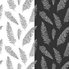 Fototapety  Seamless pattern of hand drawn feathers