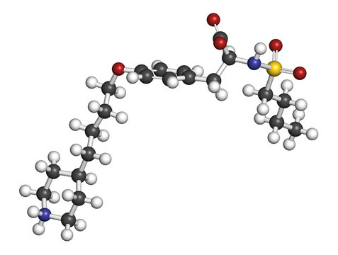 Tirofiban anticoagulant drug molecule. 3D rendering.