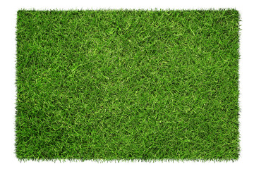 Close up of green grass texture isolated on white