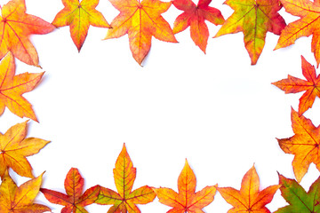 Colorful fall leaves framework on white