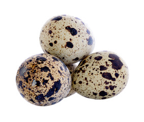 Obraz premium Quail eggs are isolated on a white background