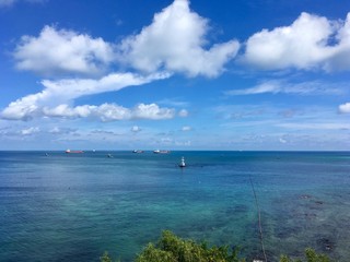 Commercial vessels among beautiful nature