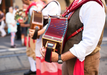 Man play accordion in carnival on street