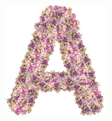 Letter alphabet with flower ABC concept type as logo. Typography design