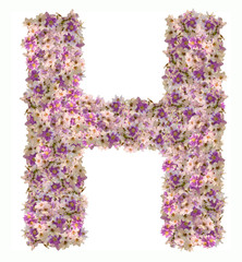 Letter alphabet with flower ABC concept type as logo. Typography design