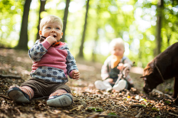 vergnügt im Herbst